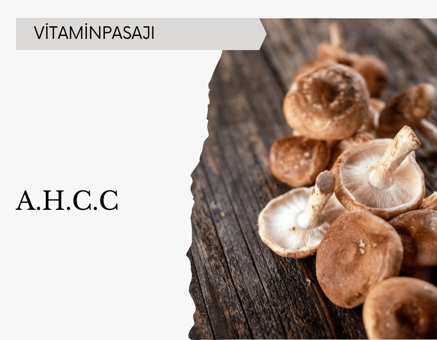 A.H.C.C Nedir