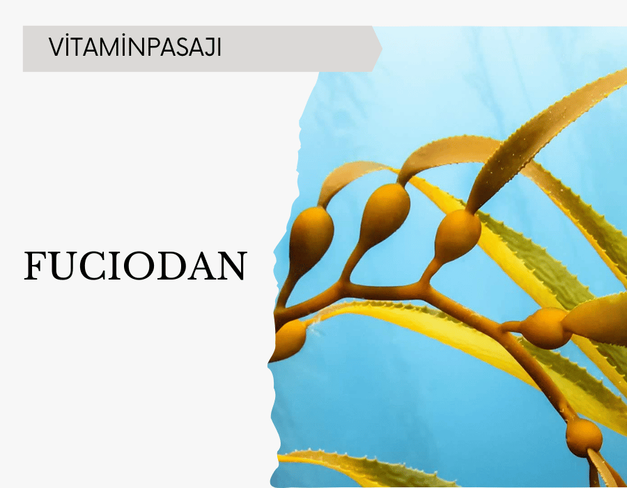 Fuciodan
