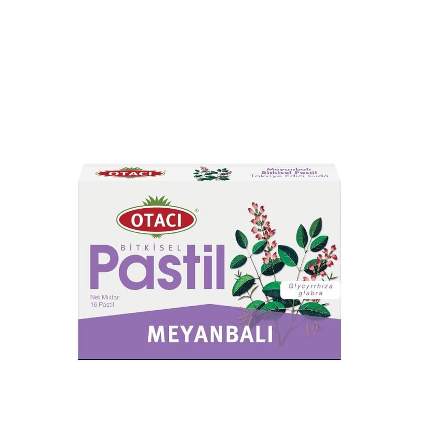 Otacı Meyanbalı Pastil 16lı
