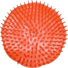 Lionnesse Saç Firçasi 872430