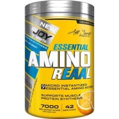 Bigjoy Sports-Amino Reaal Portakal 420G