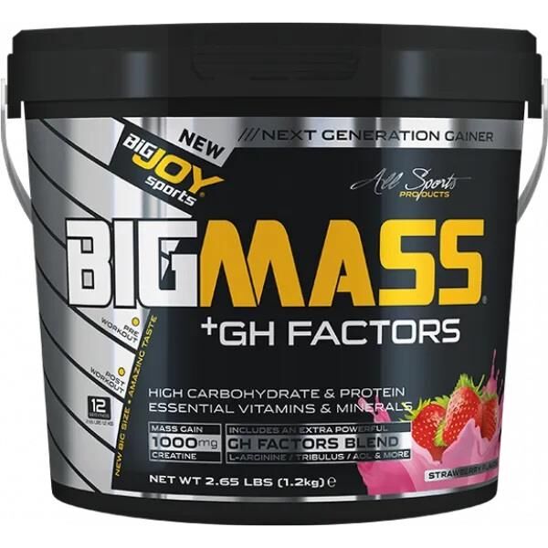 Bigjoy Sports BIGMASS Gainer GH FACTORS Çilek 1200g
