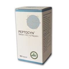 Peptocyn 90 Kapsül