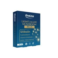 Vitallin Aslan Yelesi Plus 30 Tablet