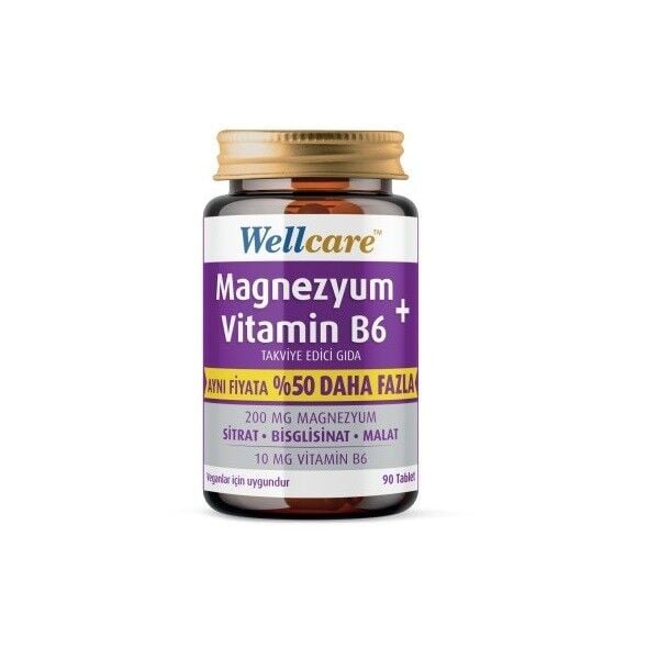 Wellcare Magnezyum Vitamin B6 200/10MG 90 Tablet