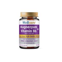 Wellcare Magnezyum Vitamin B6 200/10MG 90 Tablet