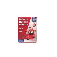 Wellcare IRON 60 Tablet