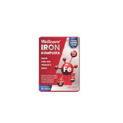 Wellcare IRON 60 Tablet