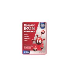 Wellcare IRON 30 Tablet