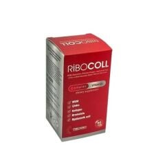 Ribocoll MSM 60 Kapsül