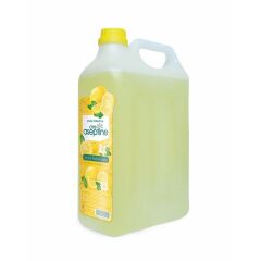 Cire Aseptine Limon Kolonyası 1 Litre