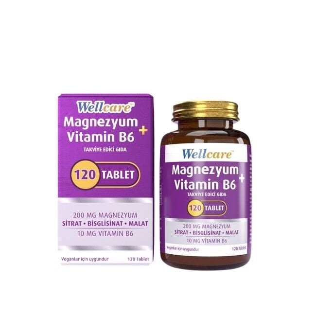 Wellcare Magnezyum Vitamin B6 200/10MG 120 Tablet